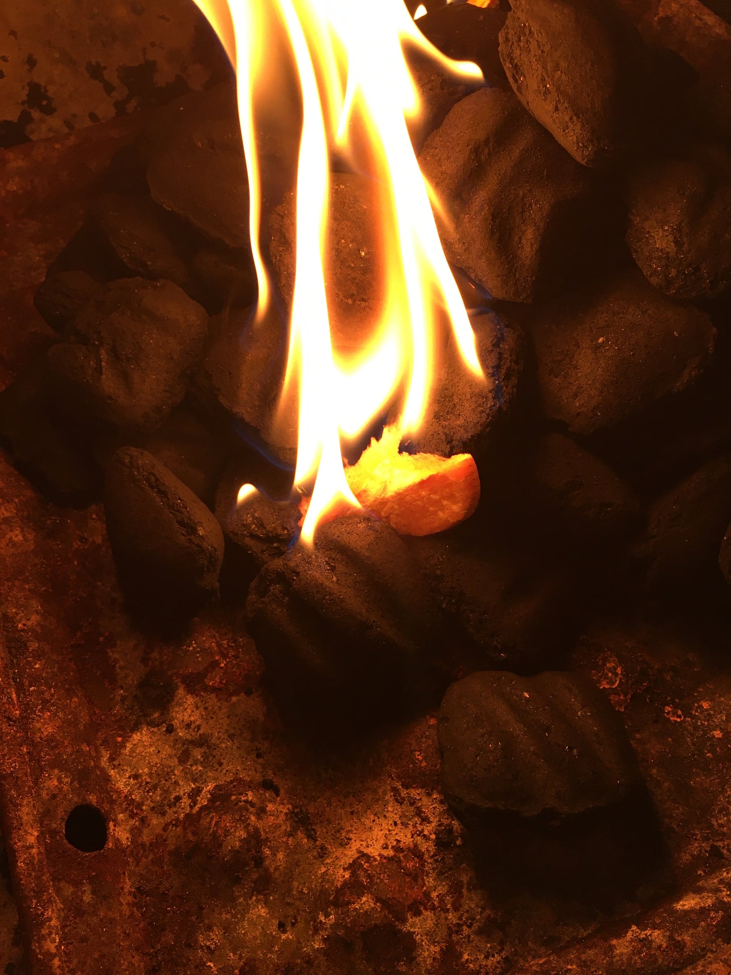 Fire Starter Wafers / $12 Gift Box